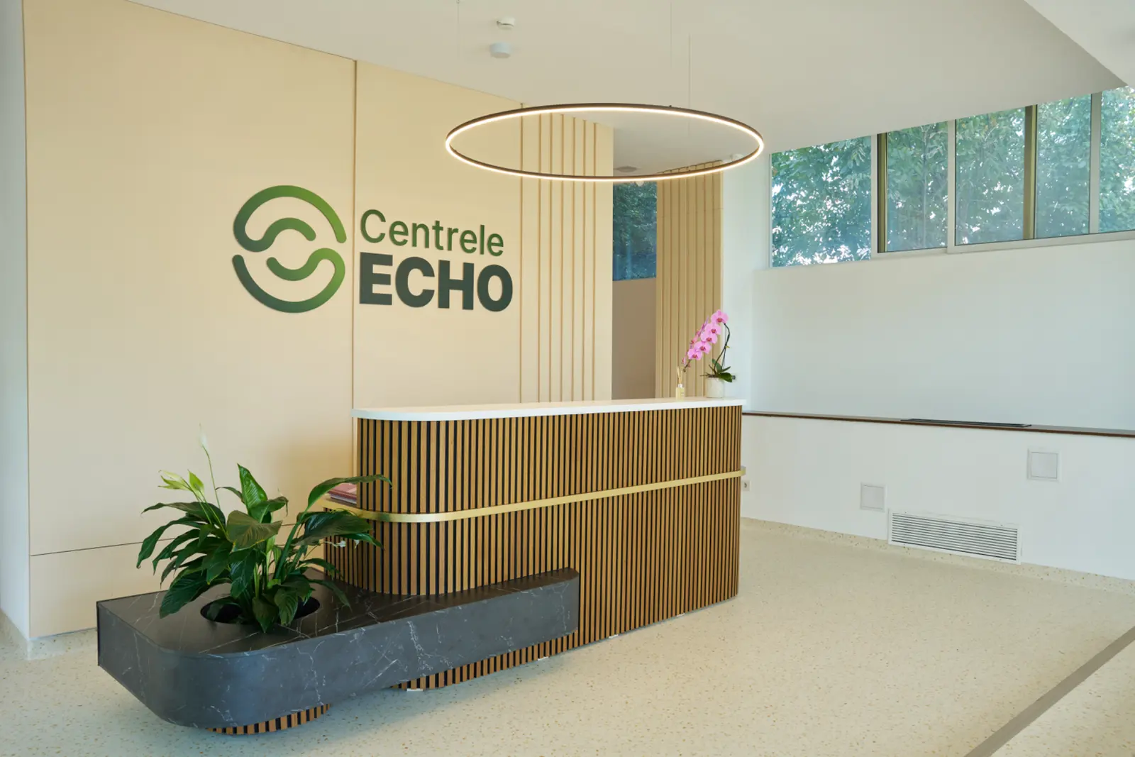 Recepție modernă cu front desk din lamele de lemn, plantă decorativă verde și orhidee roz, AsertivO Otopeni