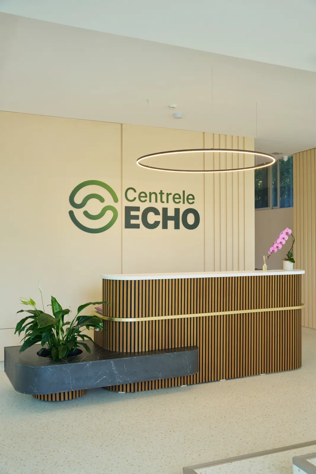 Recepție modernă cu panouri din lemn și logo Centrele ECHO pe perete, decorată cu plante verzi, AsertivO Otopeni