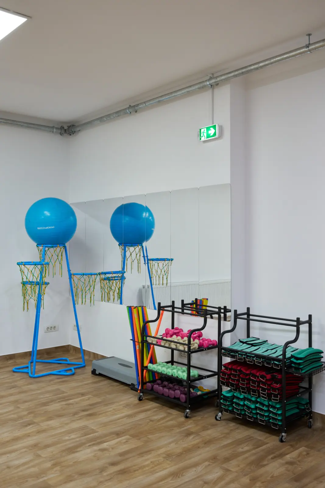 Sala de kinetoterapie pentru seniori dotata cu mingi fitness albastre pe suport, rafturi, AsertivO Otopeni