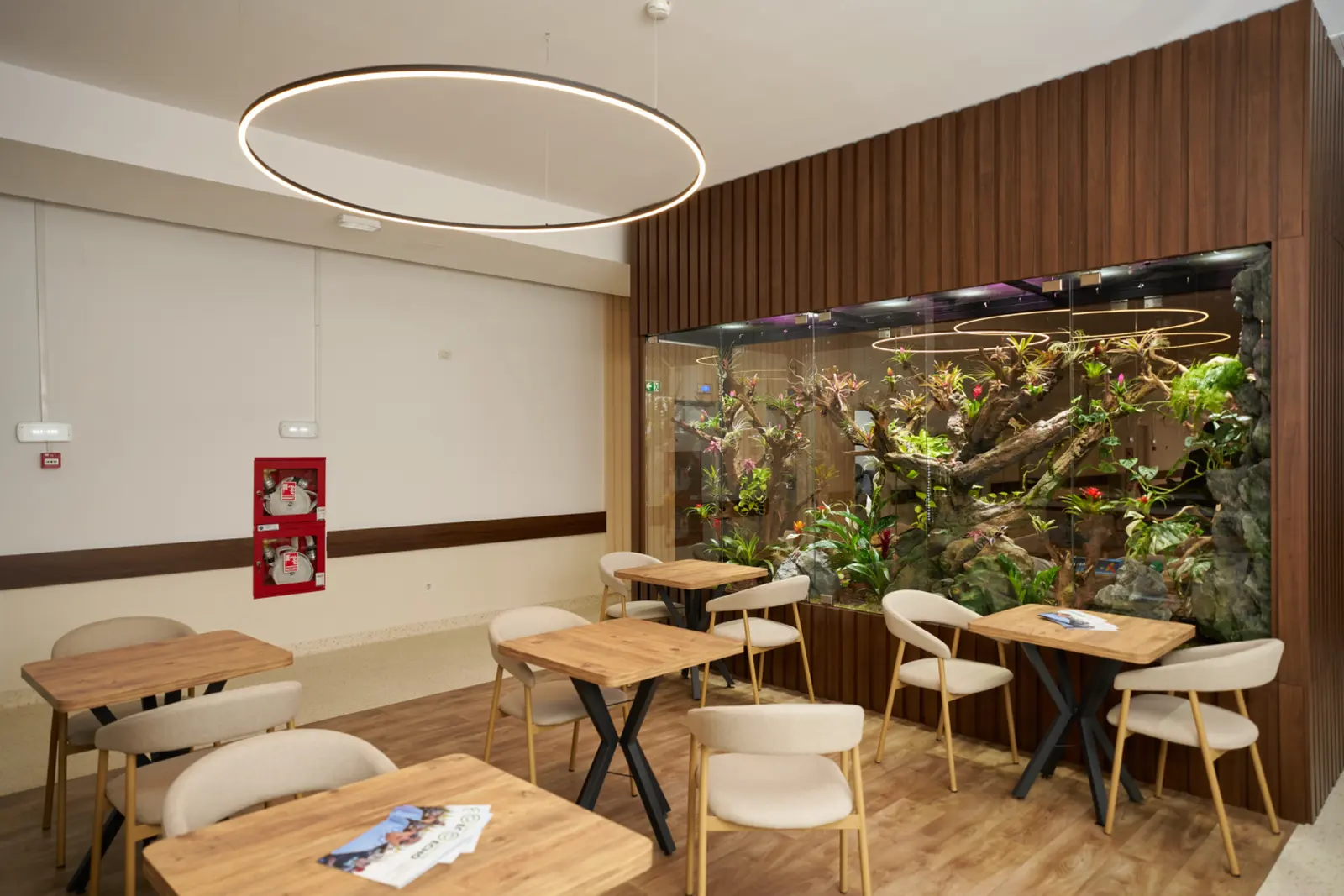 Sala de mese dintr-un centru de îngrijire seniori din România, cu mese din lemn, scaune bej, AsertivO Otopeni