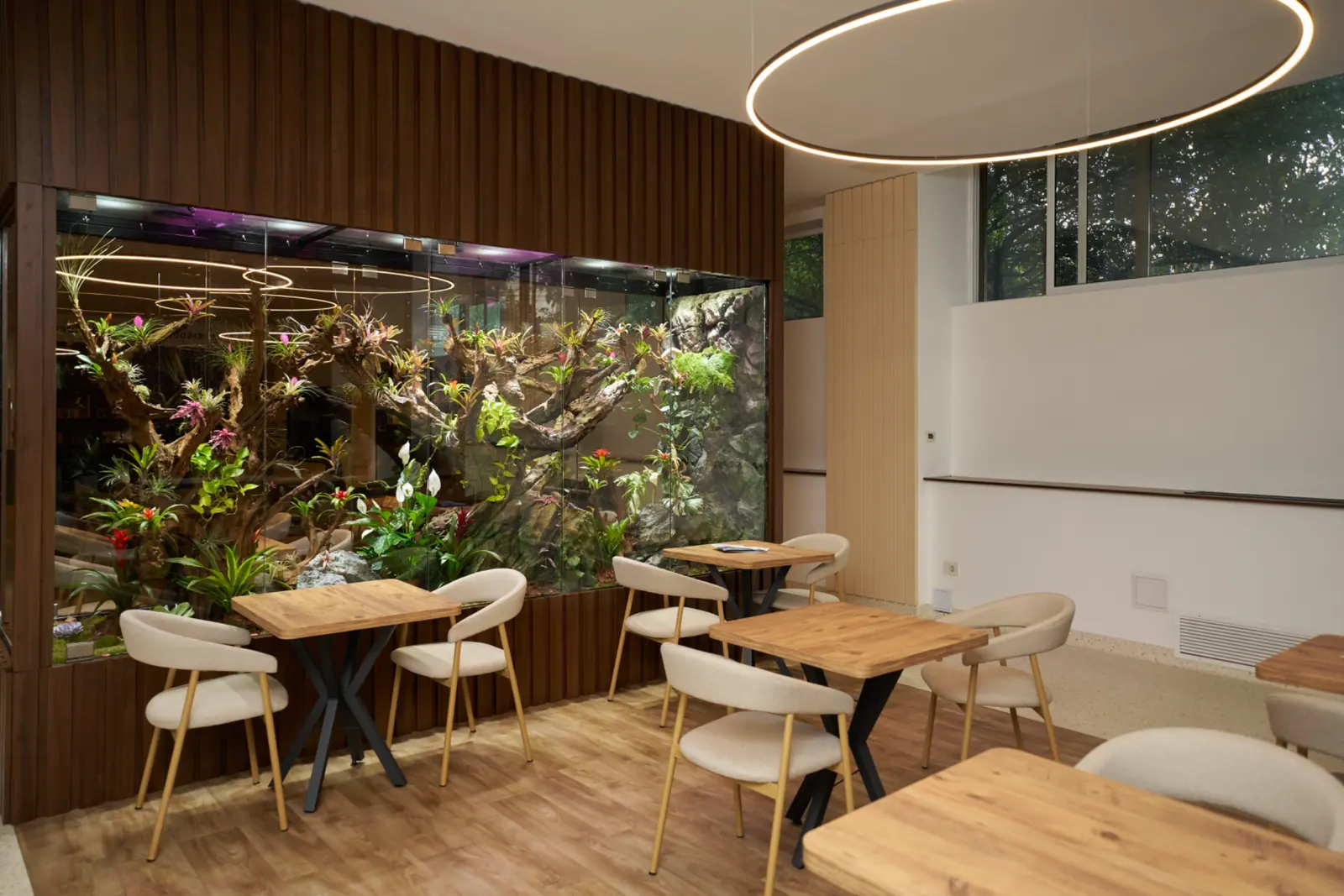 Sală de relaxare modernă cu terariu mare cu plante tropicale și flori, mese din lemn cu scaune bej, AsertivO Otopeni