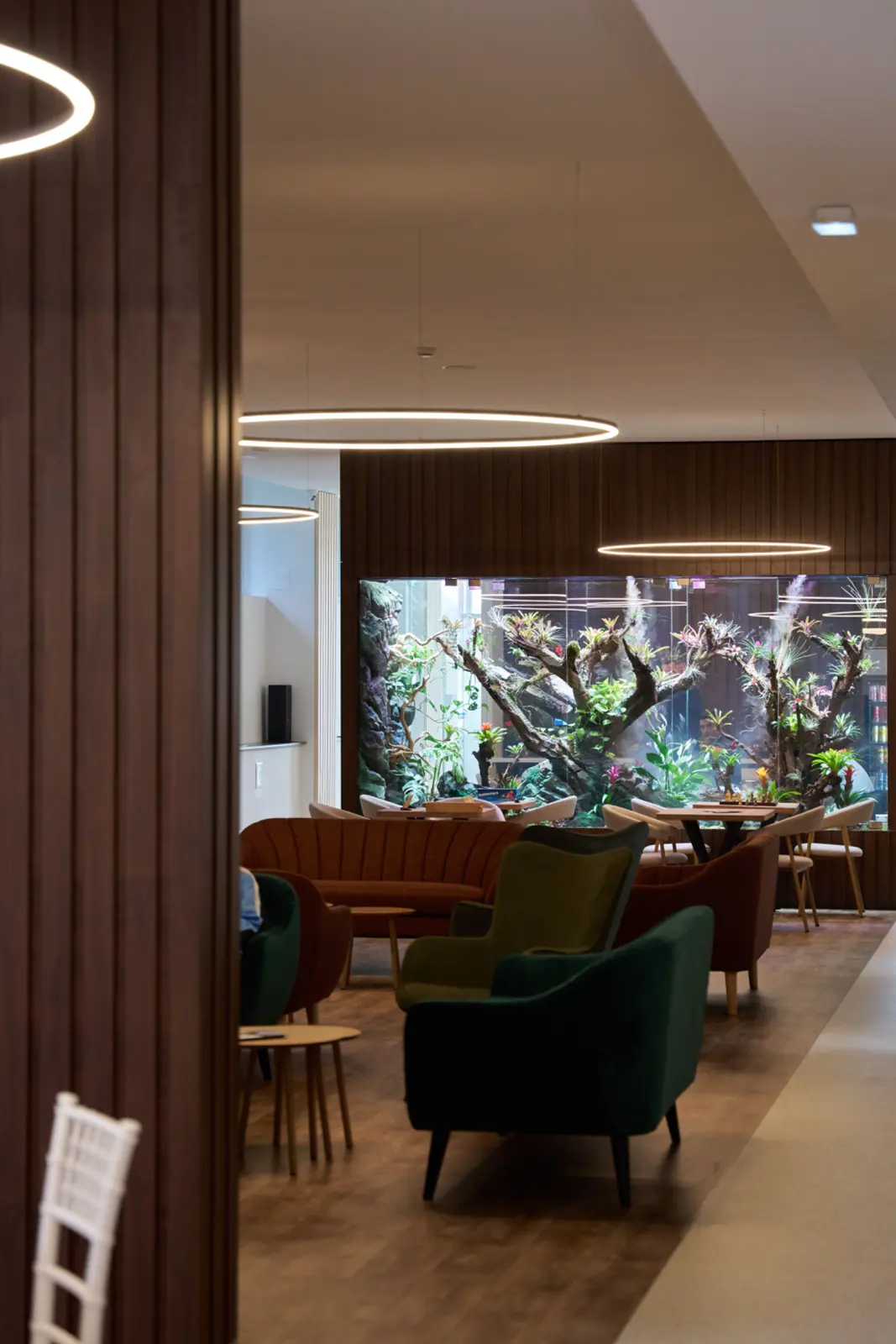 Salon modern de relaxare cu fotolii verzi și roșii din catifea, corpuri de iluminat circulare, AsertivO Otopeni
