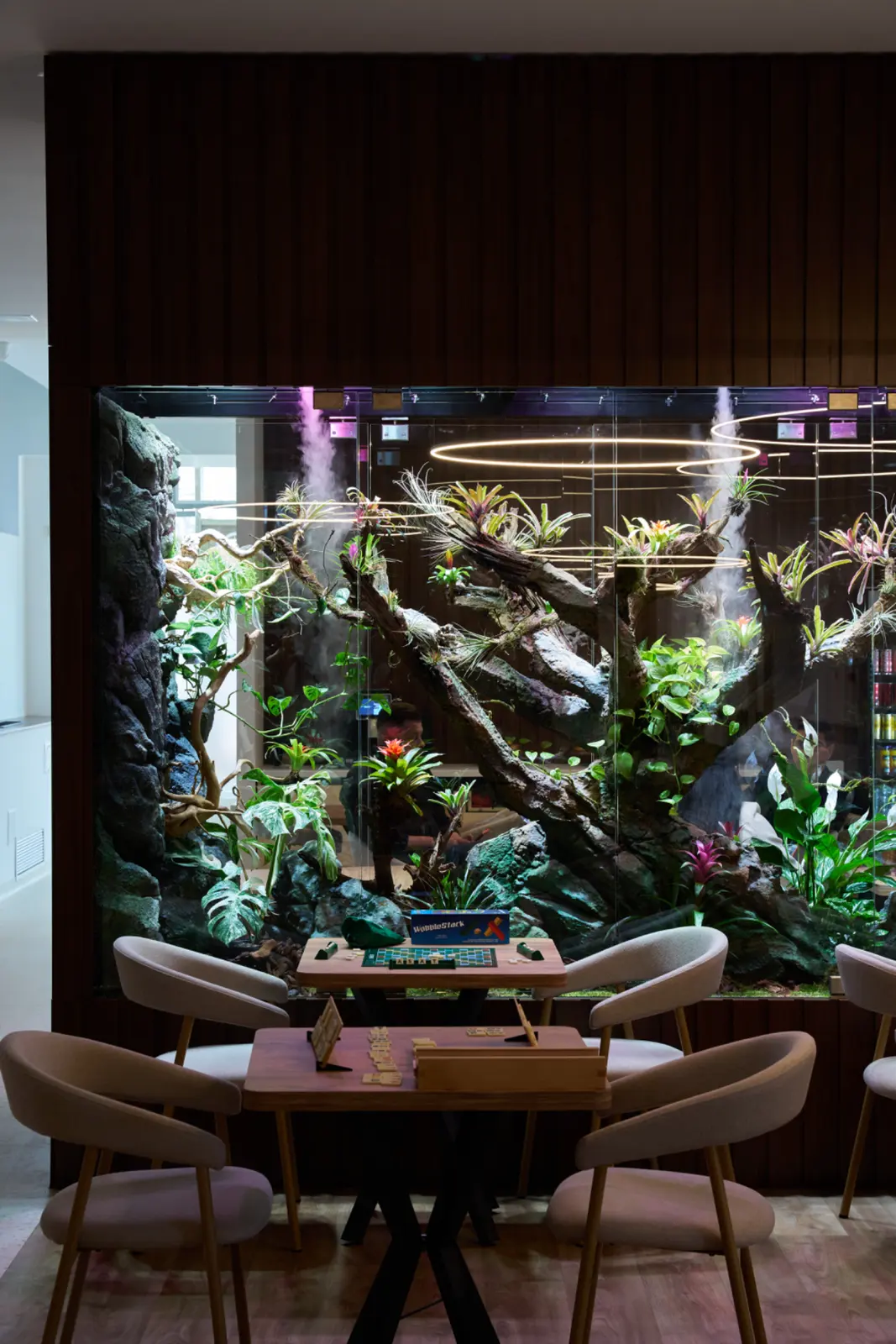Terariu mare cu plante tropicale, crengi naturale și iluminare caldă, plasat lângă mese, AsertivO Otopeni