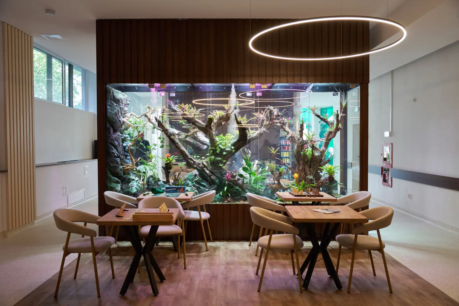 Zonă de relaxare cu două mese de lemn și scaune bej, în fața unui terariu mare cu plante tropicale, AsertivO Otopeni
