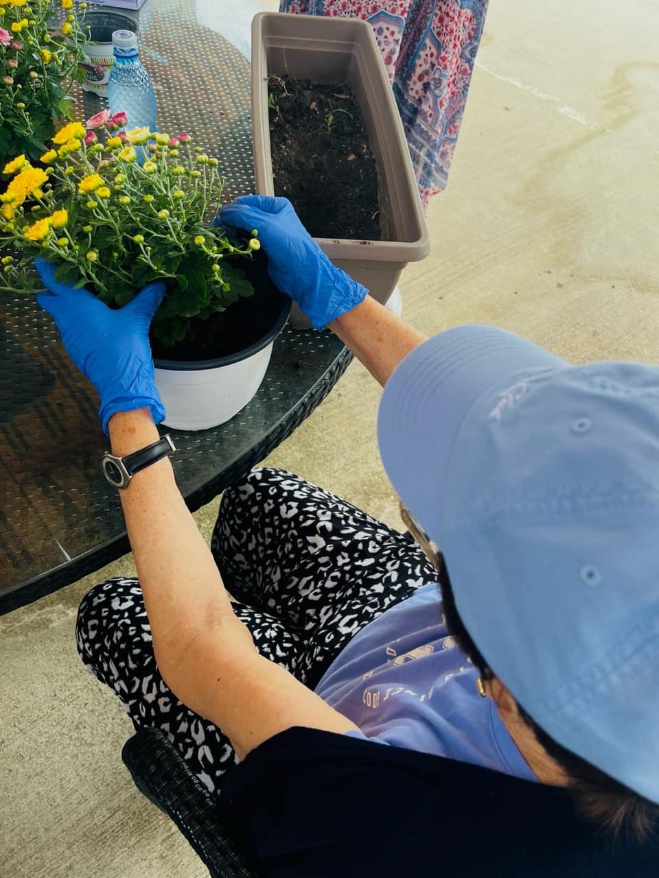 Activitate sociala seniori la AsertivO Otopeni — imagine 2