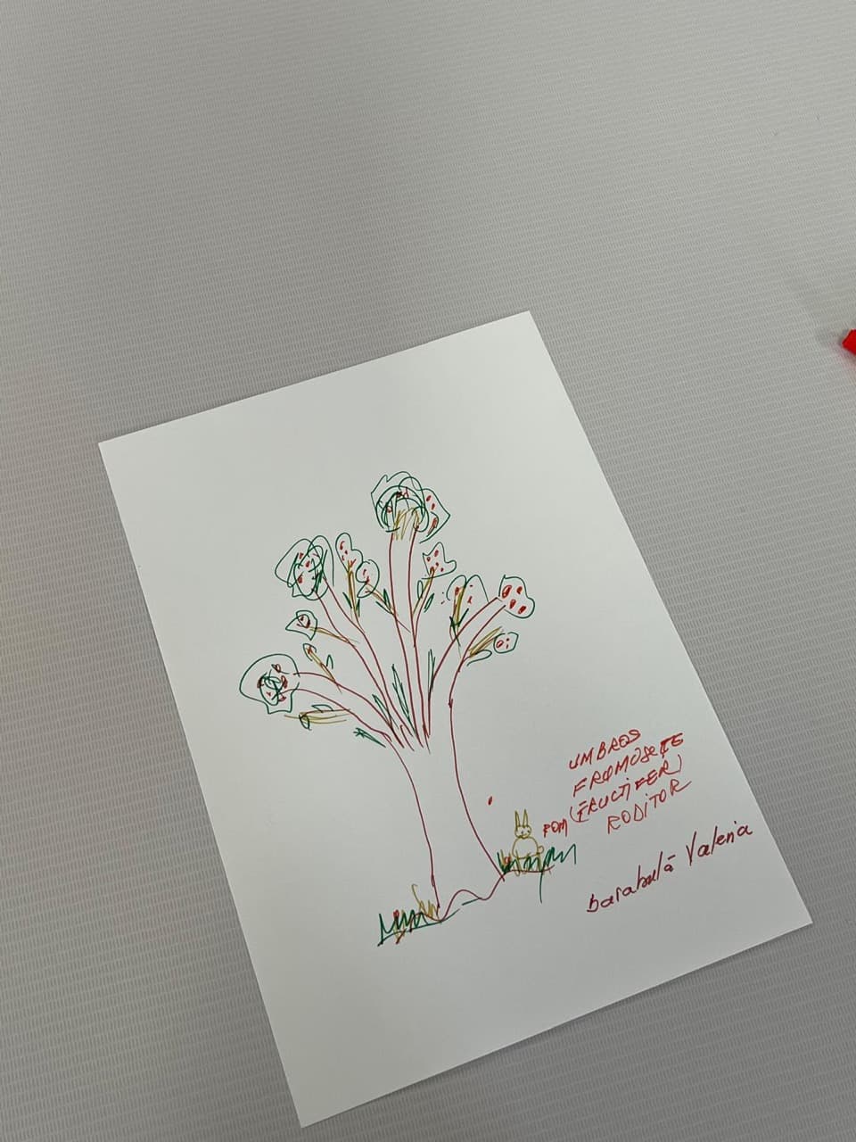 Activitate sociala seniori la AsertivO Otopeni — imagine 21