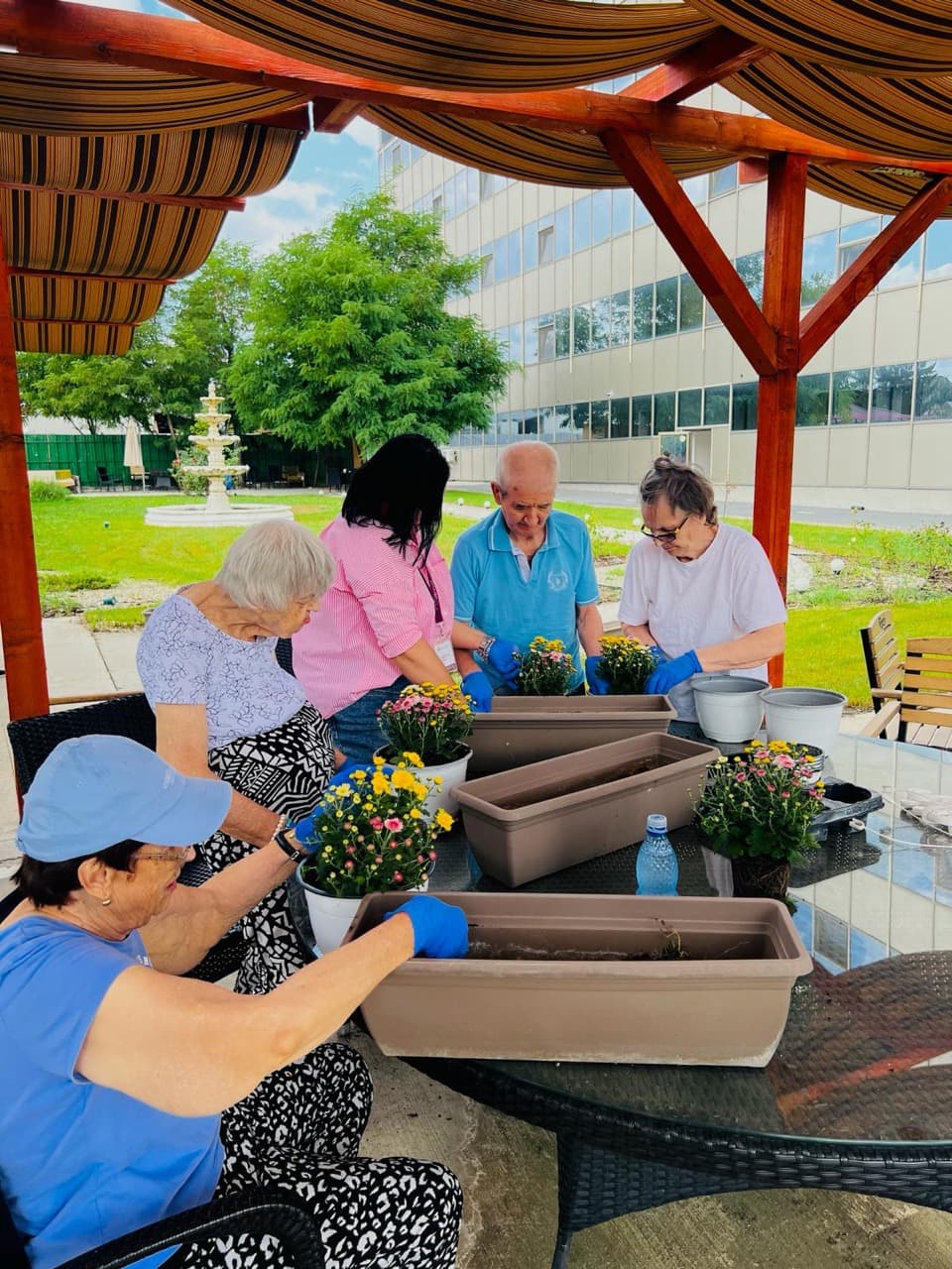 Activitate sociala seniori la AsertivO Otopeni — imagine 3