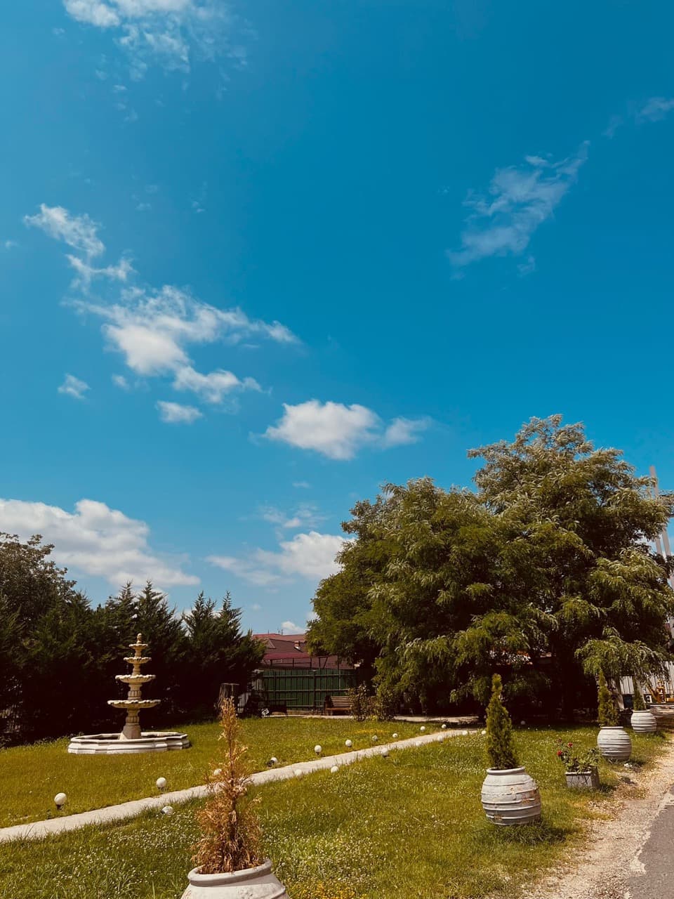 Interior centru seniori AsertivO Otopeni — imagine 9