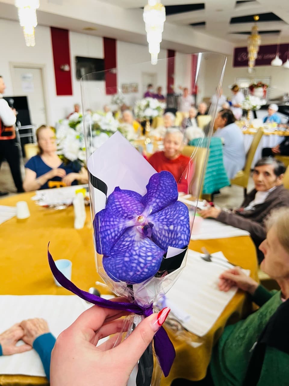 8 Martie Ziua Femeii la AsertivO Otopeni