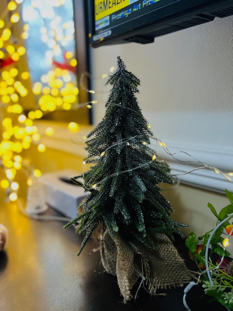 Sarbatoare si eveniment la AsertivO Otopeni